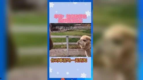 2022 娱乐吃瓜  第2张