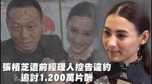 吃瓜娱乐老板叫什么,他是谁？背后的故事  第2张